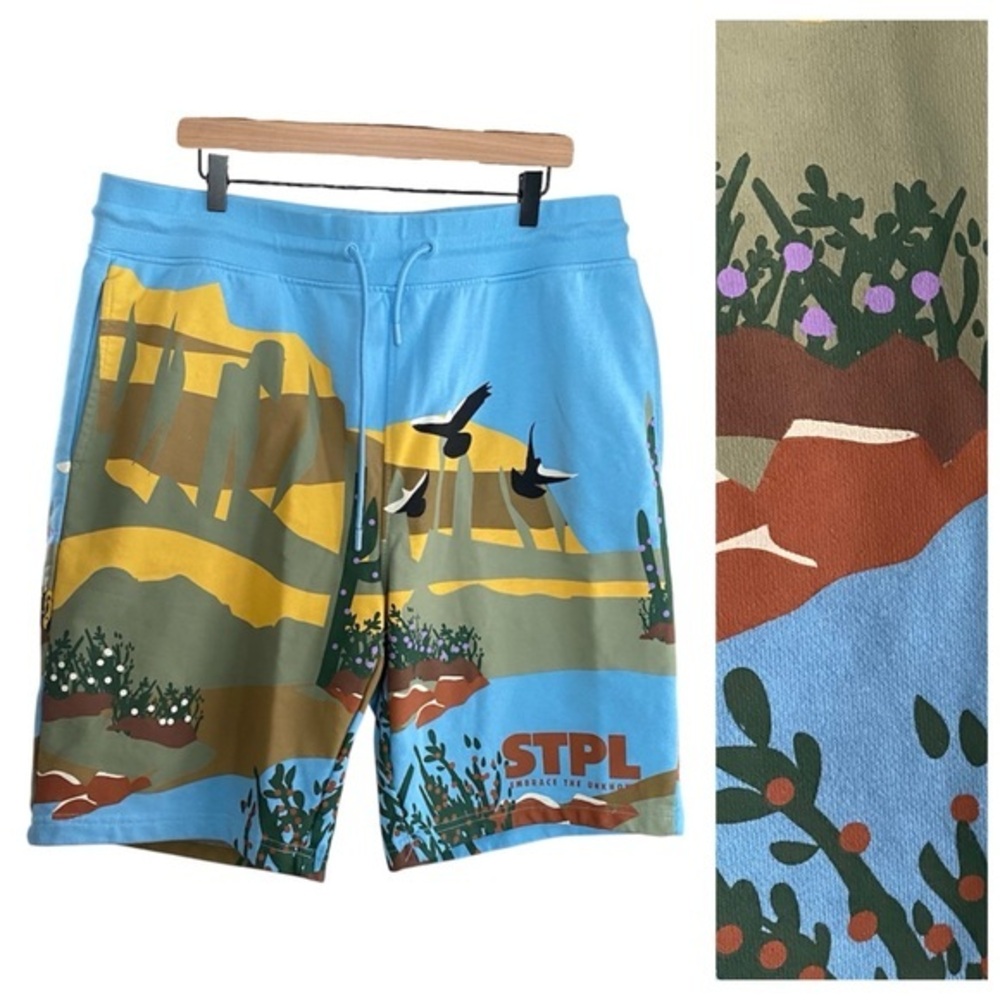 Staple Pigeon Embrace The Unknown Landscape Print Shorts XXL
